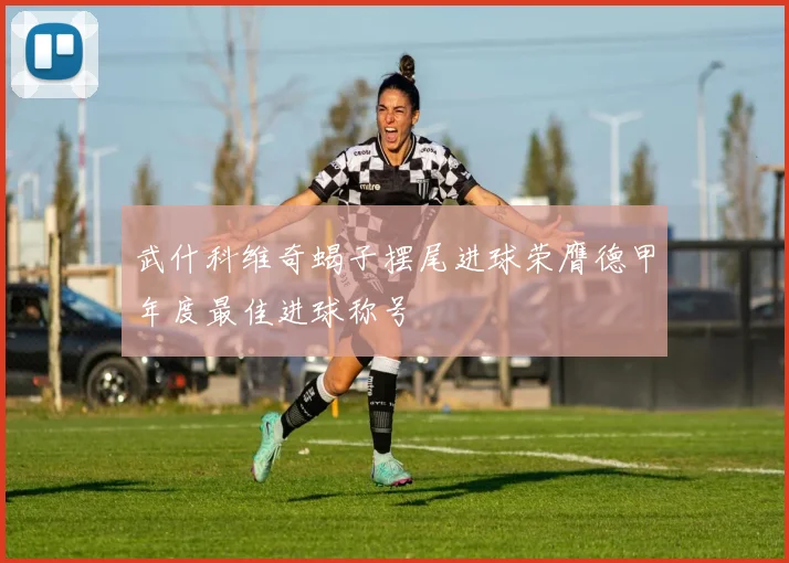 武什科维奇蝎子摆尾进球荣膺德甲年度最佳进球称号