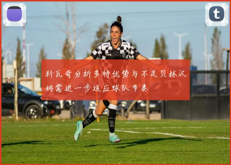 科瓦奇分析多特优势与不足贝林汉姆需进一步适应球队节奏